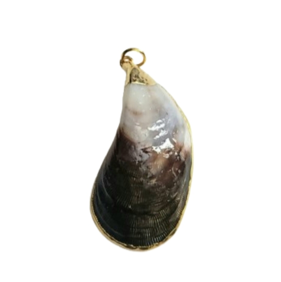 Seashell Pendant with Gold Edging. No Chain - Picture 1 of 6